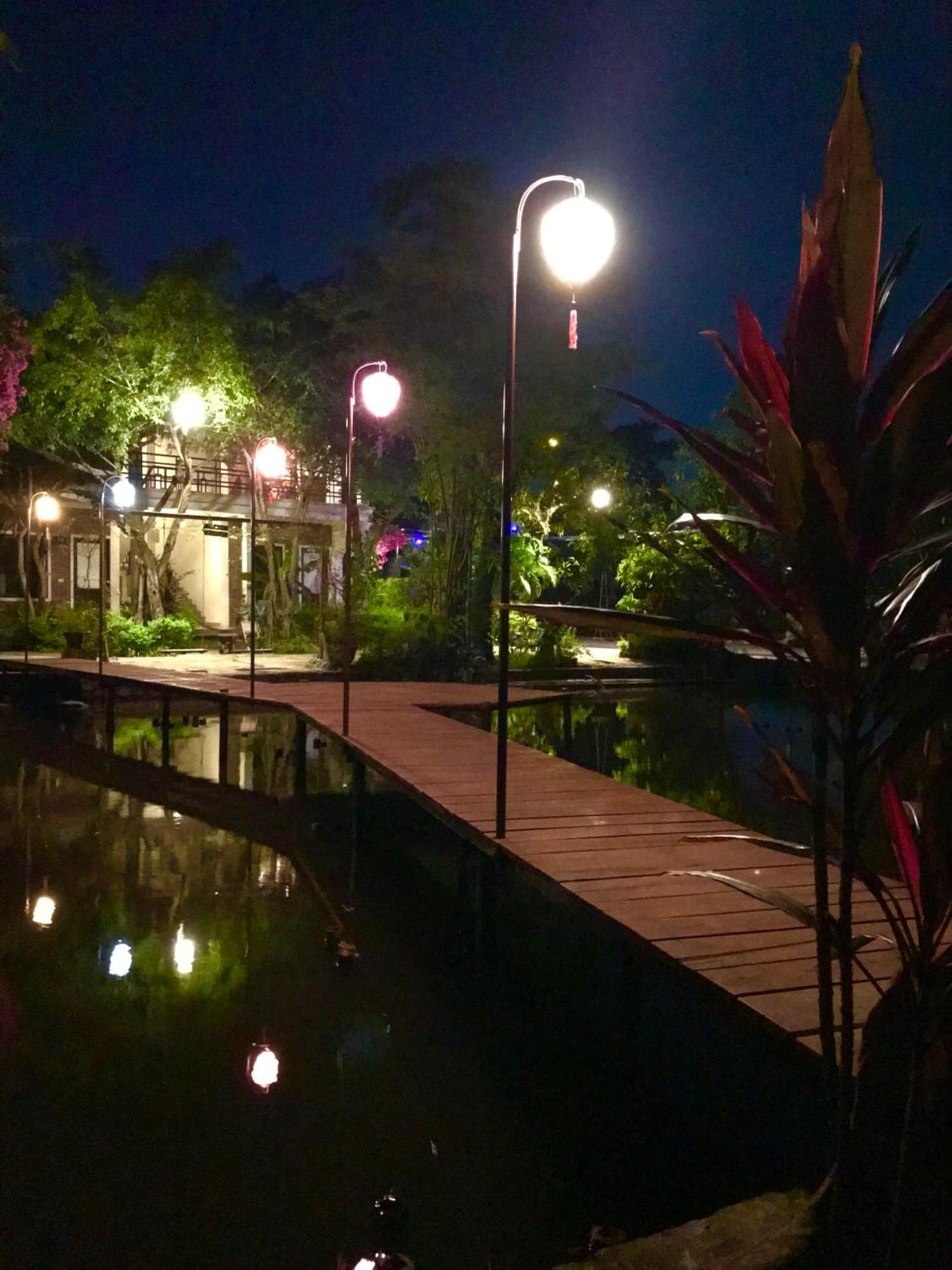 Hang Mua Family Homestay Ninh Bình Exteriör bild